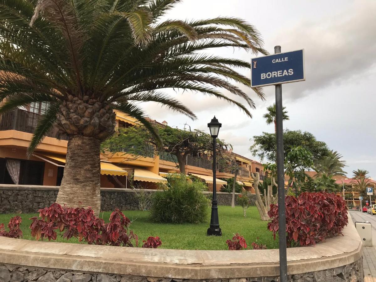 Dreaming the Sun, Tenerife Costa Del Silencio Exterior foto
